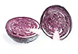 Portal Cool Légumes - Chou rouge - Resima Rz F1-250 graines - Grand Paquet