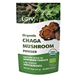 Poudre de champignons Chaga bio de LOOV, 142 g, cueillis à l’état sauvage, poussant durablement dans les forêts vierges nordiques, ...