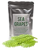 Raisins de mer Umibudo - Délicieuses algues vertes au caviar - Raisins de mer déshydratés en saumure (Poids net : ...