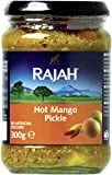 Rajah Conserve de Mangues Épicées 6 Paquets de 300 g