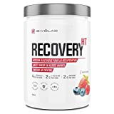 RECOVERY HT | BCAA 8.1.1 + Créatine + Glutamine + Glycine + Waxy Maize | Complexe Récupération Musculaire Complet en ...