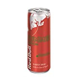 Red Bull Red bull summer edition 250ml -pastèque - La canette de 250ml