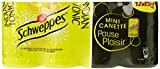 Schweppes Indian Tonic Canettes 12 x 15 cl