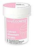 ScrapCooking Colorant en Pâte Rose Bonbon 20 g - Pour Pâtisserie - 4253