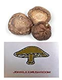 Séché champignon shiitake 700 grammes