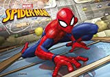 Spiderman - Papier Comestible pour Gâteau d' Anniversaire - Décoration pour Gâteau en Feuille d’Azyme - A5