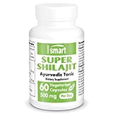 Supersmart - Super Shilajit (Primavie ®) 500 mg Par Jour - Tonique Ayurvédique - Contribue à Augmente la Biodisponibilité de ...