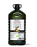 TerraOlive - Huile d'Olive Extra Vierge Biologique de Haute Qualité - 5 litres