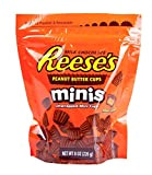 The Hershey Company Reese's Peanut Butter Cups Mini's
