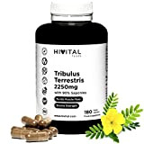 Tribulus Terrestris 2250 mg. 180 gélules végétales. 100% naturel avec 90% de saponines. Augmente la testostérone, la masse musculaire, l'endurance ...