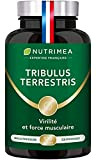 TRIBULUS TERRESTRIS - Extrait Titré à 40% de Saponines - Source d'Energie pour Performances Sportives, Endurance & Croissance Musculaire - ...