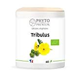 TRIBULUS – Tribulus terrestris – GOKSHURA – 60 gélules 300 MG (BIO)