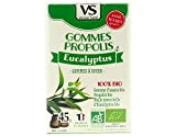 Vecteur Santé - Gommes propolis eucalyptus Bio