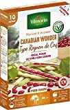 Vilmorin Haricot Canadian Wonder Boite série 10m (Grain Rouge pour Chili Con Carne)