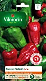 Vilmorin - Poivron Padron - Variété traditionnelle espagnole - Idéal pour les tapas - un goût et une puissance changeante ...
