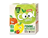 Vitabio Cool - Gourdes Fruits Pomme 4x90 g - Compote - BIO