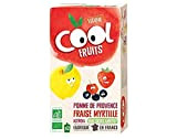 Vitabio Cool - Gourdes Fruits Pomme Fraise Myrtille 12x90 g - Compote - BIO