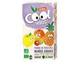 Vitabio Cool - Gourdes Fruits Pomme Mangue Ananas 12x90 g - Compote - BIO